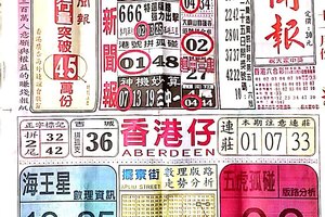 11/29  中國新聞報-六合彩參考