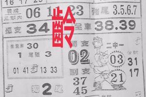 8/8  萬應公-六合彩參考.jpg
