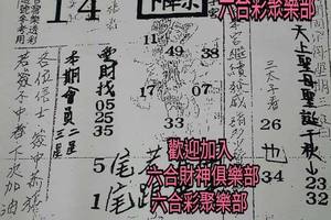 11/18  濟公活佛下降示 第二公籤-六合彩參考.jpg