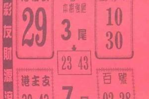 12/7  鶴仙子手冊-六合彩參考.jpg