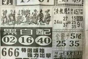 12/24  中國新聞報-六合彩參考.jpg