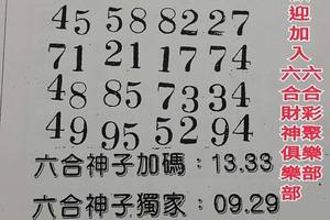 12/28-12/30  六合神子-六合彩參考.jpg