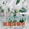 人與人之間最好的關係，是這四個字（深度好文）