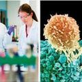 以後可能再也不會有人死於癌症了！有了這個「免疫療法」94%的末期病患都痊癒了！