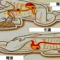 從今天晚上開始請大家都「側向左邊」睡覺，隔天醒來發現的改變會讓你以後都要這樣睡！