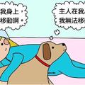 10張告訴大家「為什麼養了毛孩嘴角就會每天都上揚」的爆笑日常漫畫！