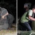 受虐50年才被救出來…　大象確認重獲自由的那一刻　現場的人錯愕看著牠的反應