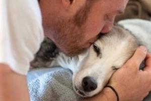 第一隻養的狗狗癌末需要安樂死，主人心碎回「再見了，我的女兒」跟牠吻別…