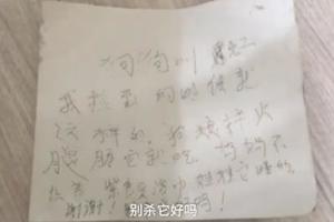 【視頻】媽媽不讓養！小孩被逼遺棄狗狗，心碎寫字條懇求「別殺牠好嗎」…網友看了超心痛！