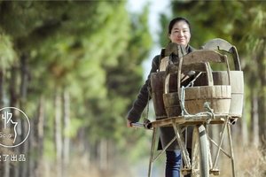 14歲輟學的拾荒女，40不到建起一座文化王國